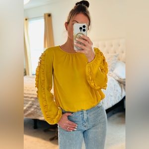 Ann Taylor top with ruffle sleeves